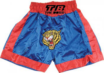 Kick Boxing Shorts